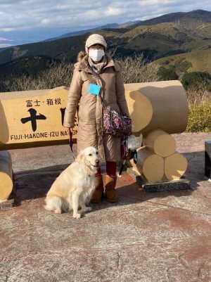 o1078144014877340649