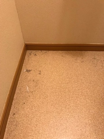 20190415-2