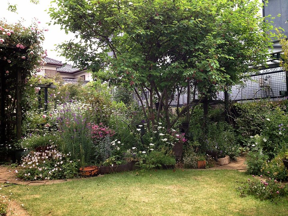 流山オープンガーデン13 Rosemary Cottage 便り