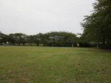 桜草公園