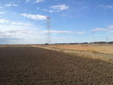 newyear_002