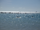 hawaii_12