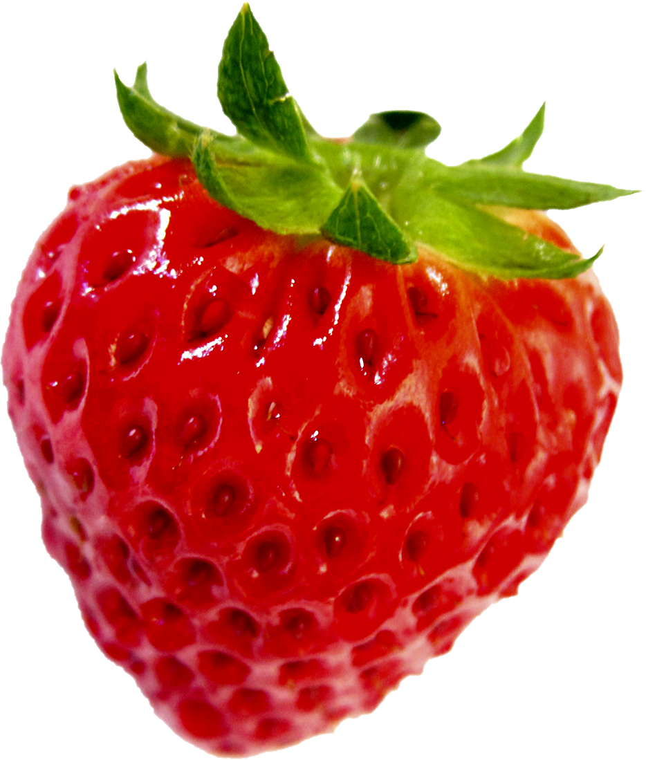 なぜ日本人は鼻がきたない Happy Design Blog