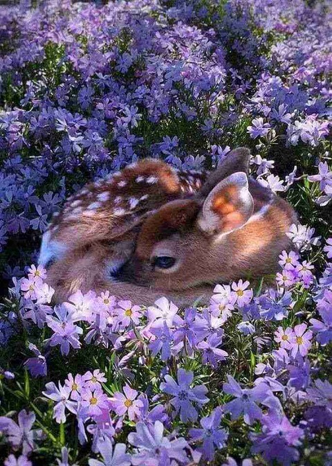 B3A8C560-E99B-4EAA-B22C-47D9D0EC55FA