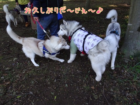 342A30BA-6542-4441-A4D7-75B5A7A5C6E7