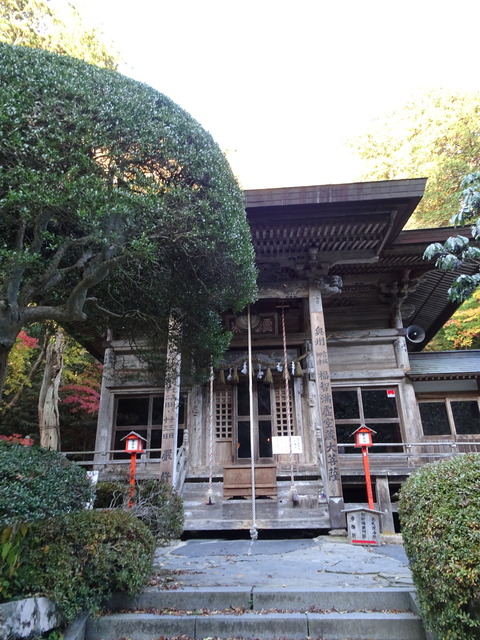 DSC09231