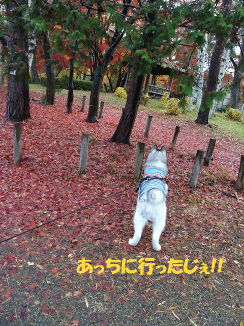 BlogPaint