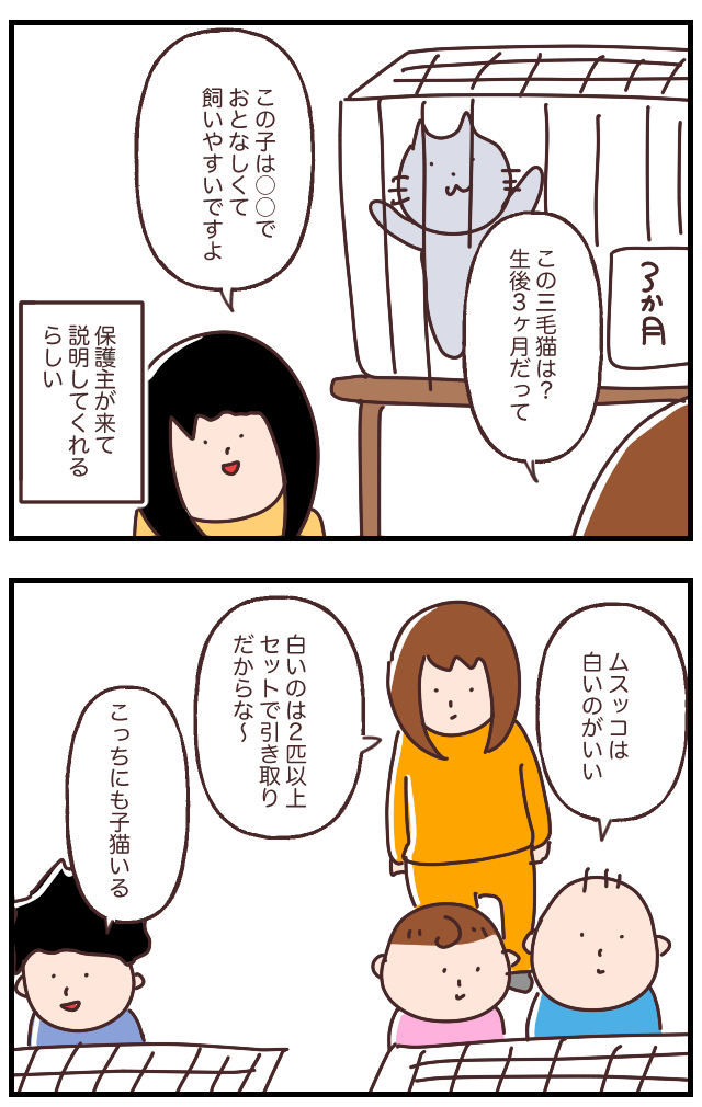 25EFED2B-C519-475D-993A-34B895FB5B13
