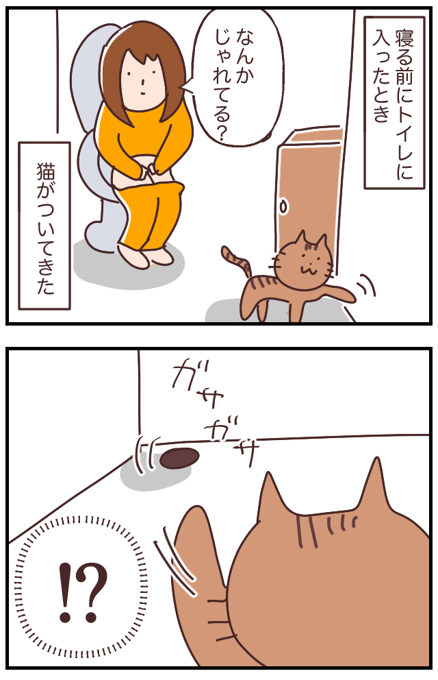 C96245C2-6653-4B82-86CD-4413C181E017