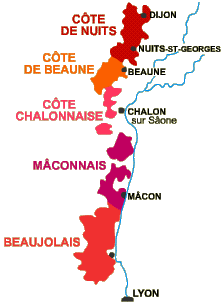 �֥르���˥��Ͽ�