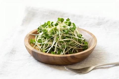 supurauto