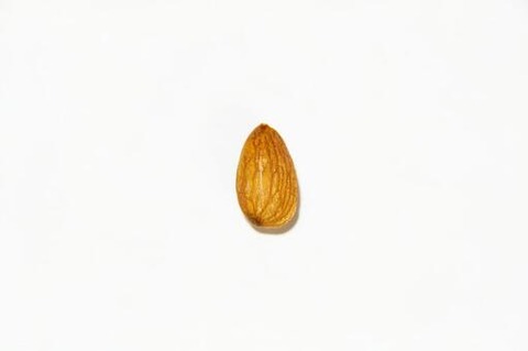 a-mondo