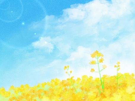 nanohana1