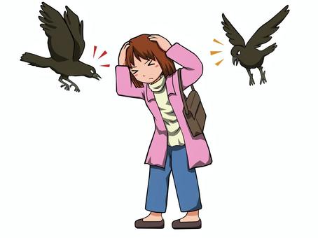 karasu osowareru