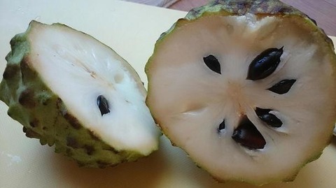 atemoya