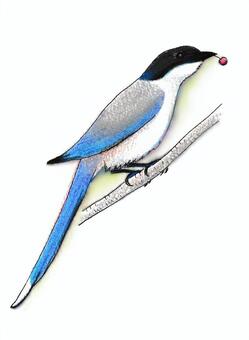 onaga1