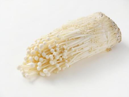 enoki1