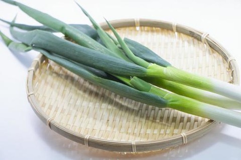 kujounegi