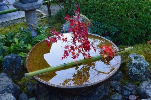 suikinkutu