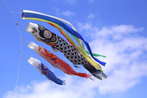 koinobori1
