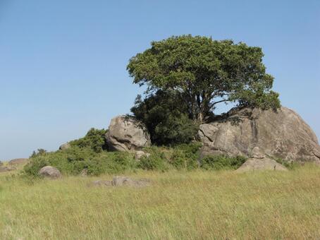 tanzania