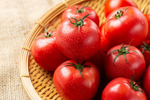 tomato
