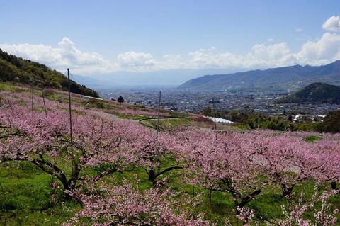 tougenkyou