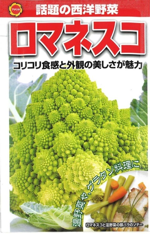 romanesukotane