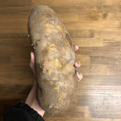 rasettoimo