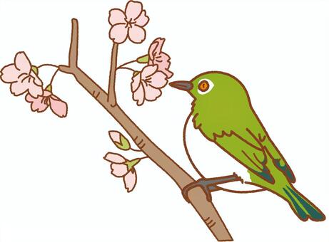 meziro