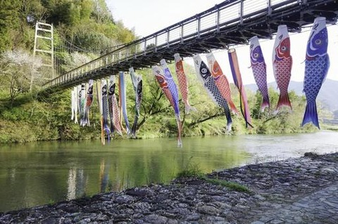 koinobori5