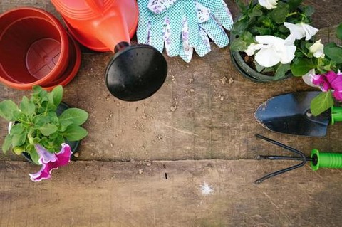 gardening