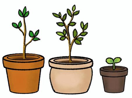 uekae