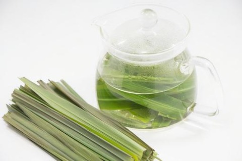 remongurasuthi-