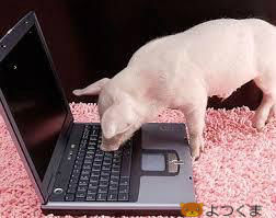 BlogPaint