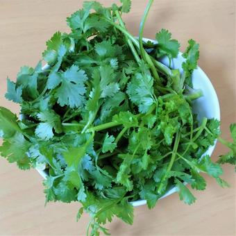 pakuti-