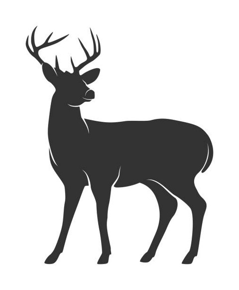 sika
