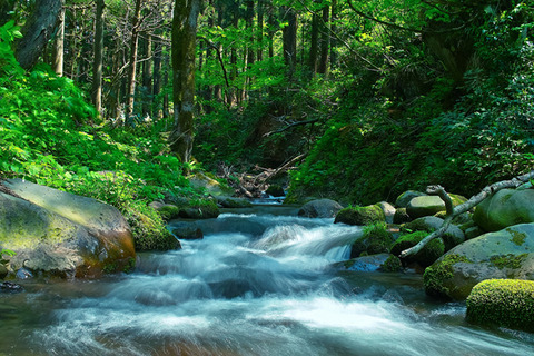 kawa