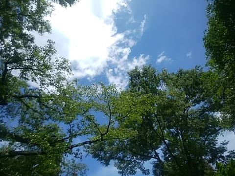 804