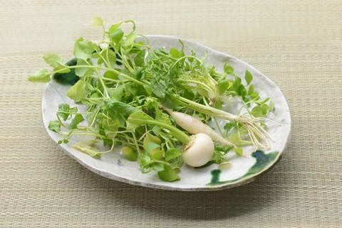 harunonanakusa