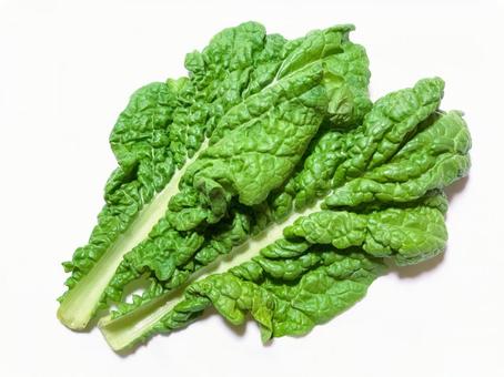 katuona