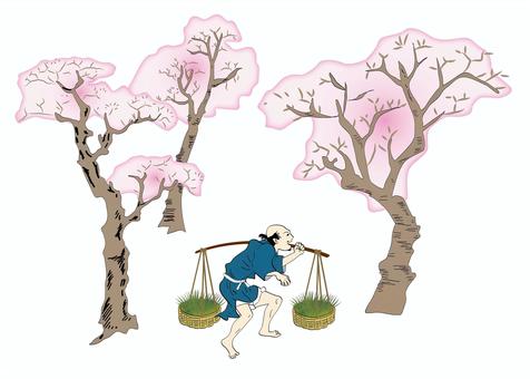 edo