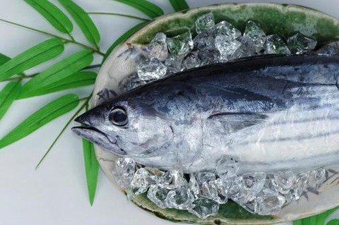 katuo