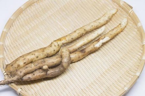 yamanoimo