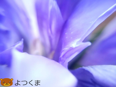 BlogPaint