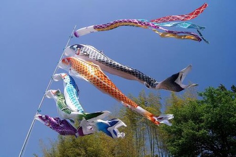 koinobori4