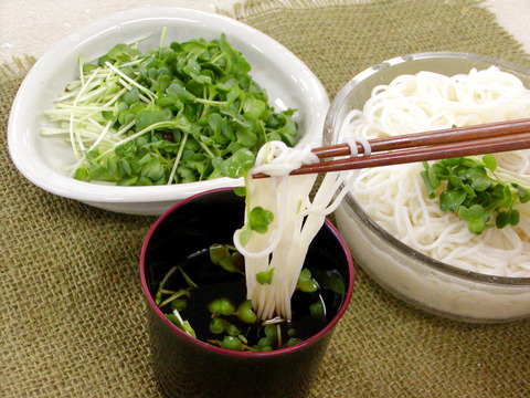 kaiware yakumi