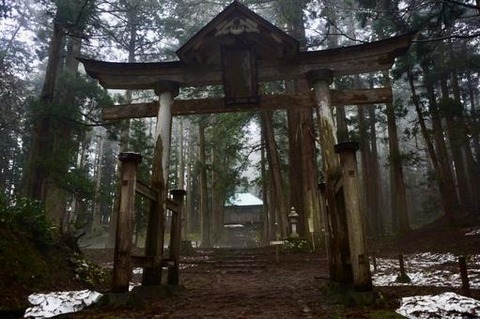 torii