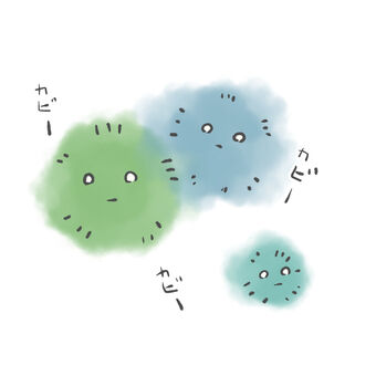 kabi