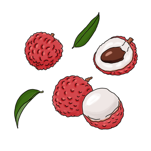 raiti